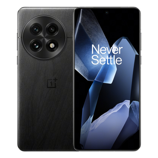 OnePlus 13 12/256Gb Dual nanoSim Черный (CN)