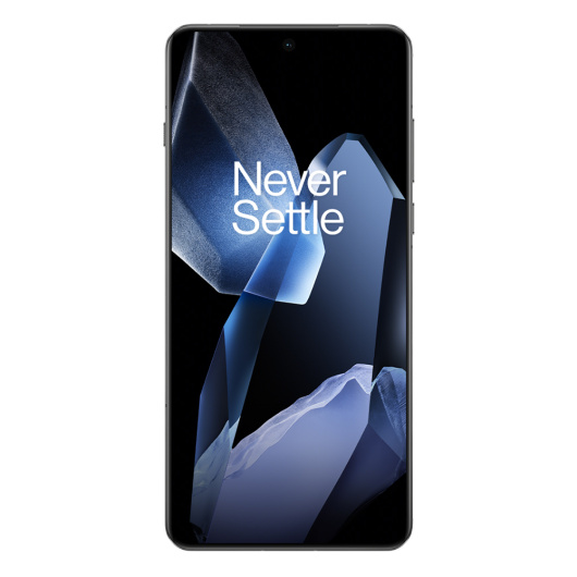OnePlus 13 12/512Gb Dual nanoSim Черный Global