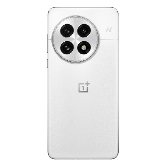 OnePlus 13 12/256Gb Dual nanoSim Белый (CN)