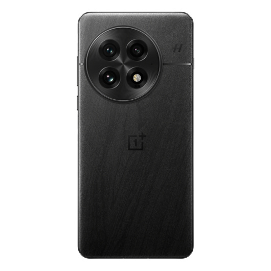 OnePlus 13 12/512Gb Dual nanoSim Черный Global