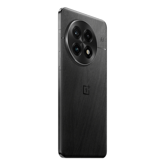 OnePlus 13 12/512Gb Dual nanoSim Черный Global