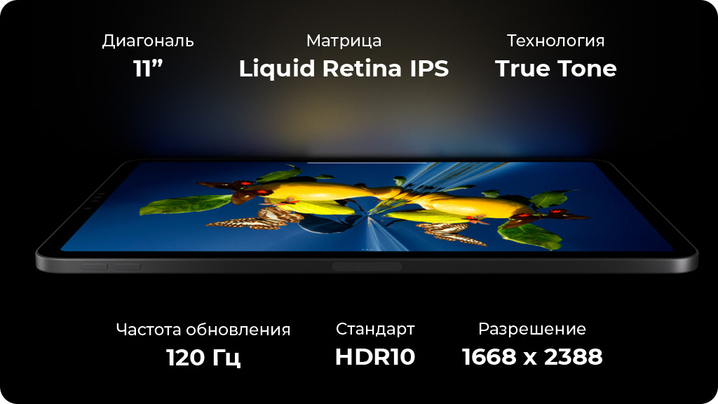 Apple iPad Pro 11 (2022) 1024Gb Wi-Fi + Cellular Серебристый (Silver)