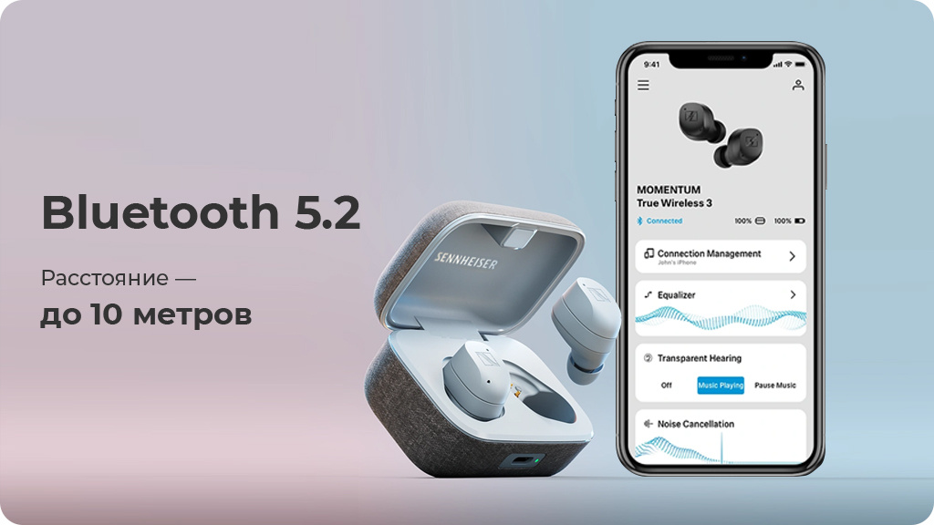 Беспроводные наушники Sennheiser Momentum True Wireless 3 графит